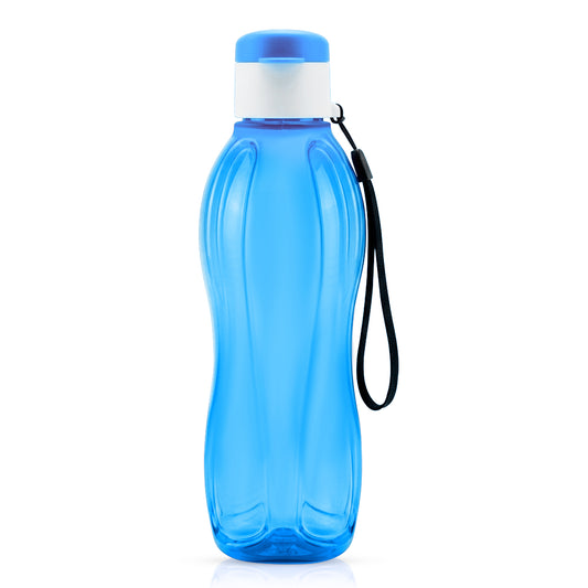 Aqua Fresh Bottle 1 Ltr (Blue)